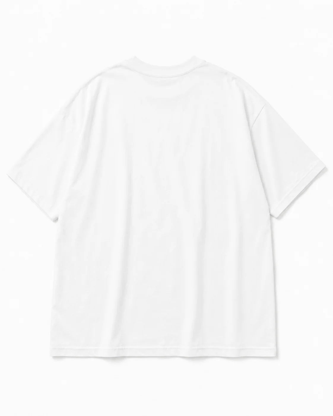 Paw Pal Cat Carrier T-shirt
