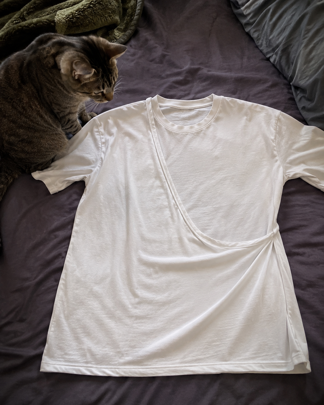PawPal t-shirt laid flat beside a cat showing the large sewn-in pouch