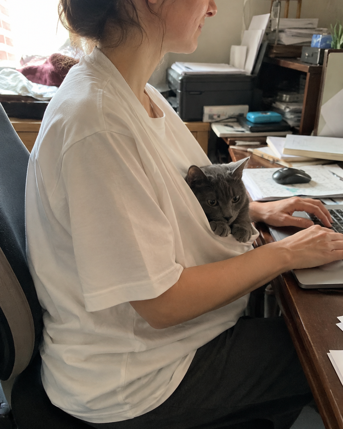 Cat resting in PawPal pouch while wearer works at a computer